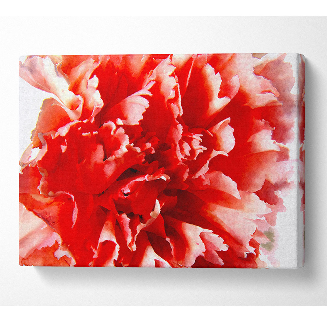 Vivid Pink Carnation - Kunstdrucke auf Leinwand