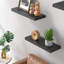 Antionette 3 Piece Floating Shelf-687523652