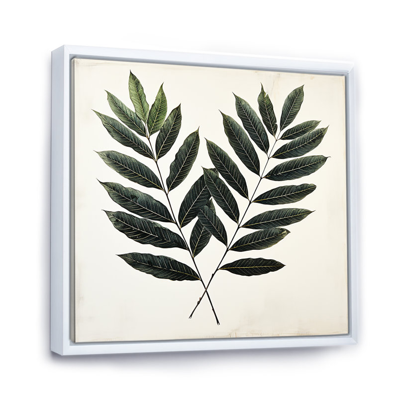 Décoration murale Sooty Sequoia Leaves - Herbes, Cadre flottant blanc, H 36 po x l 36 po x P 1,5 po