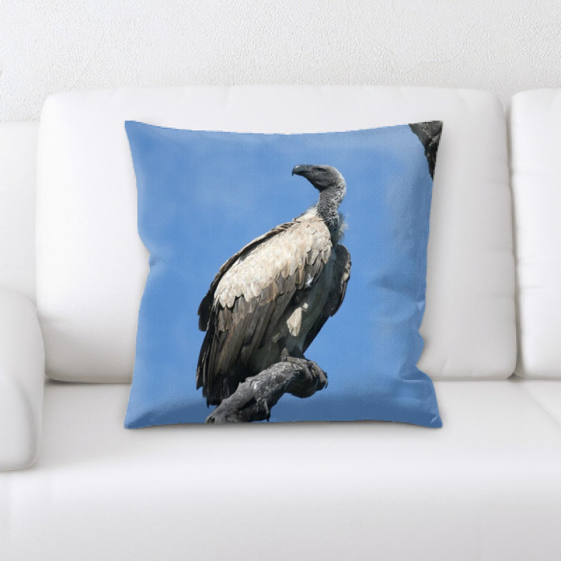Coussin vulture