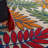 Eaglin Floral Indoor Rug-339092050