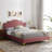 Modway Neena Performance Velvet Bed-712920048-712920052