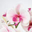 Rowney Arrangement-1274589298