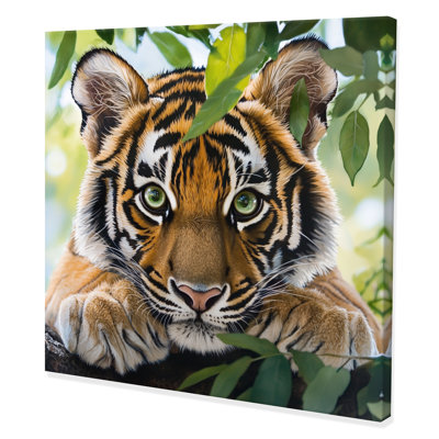 Portrait de tigres - tigre, art mural