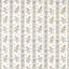 Papaver Stripe-598514014