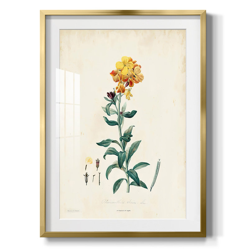 Wilfrid - toile tendue avec châssis, H 28,5 po x l 20,5 po, Doré