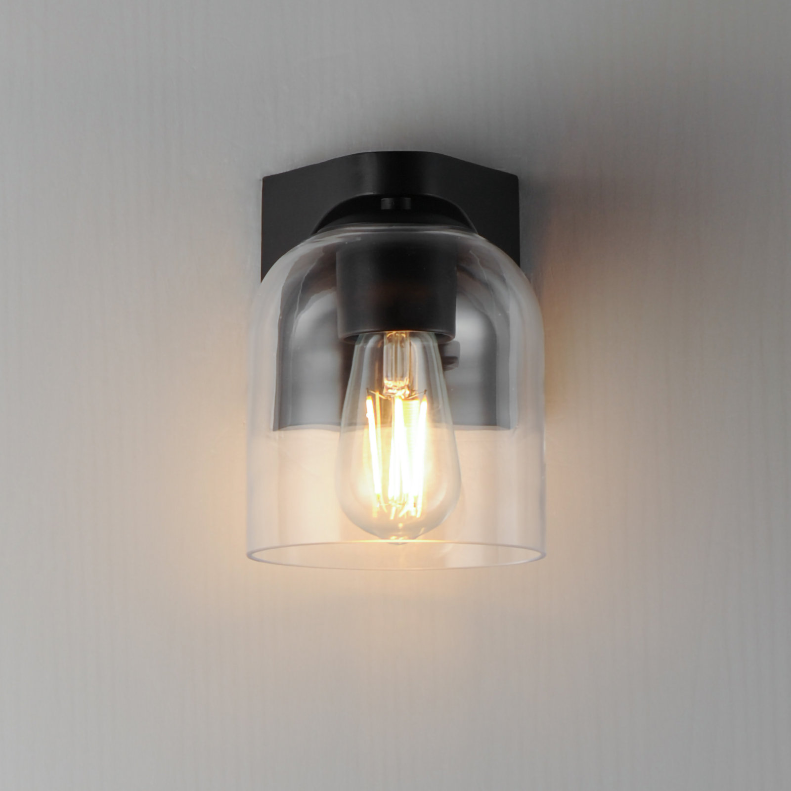 Single Transparent Dimmable Bath Sconce, Black