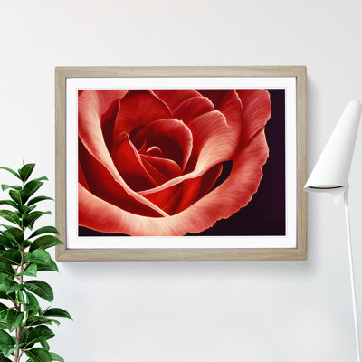 Bewitching Rose Flower - Single Picture Frame Print