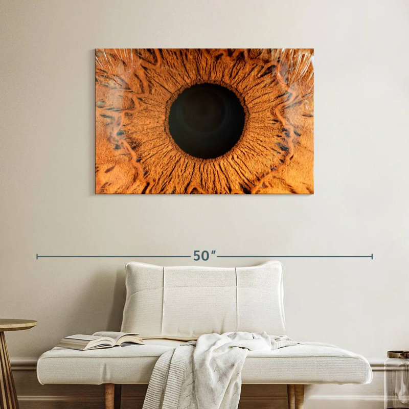 Alcaraz Brown Iris, 26" H x 39" W