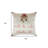 Polyester Throw Square Pillow Cover & Insert