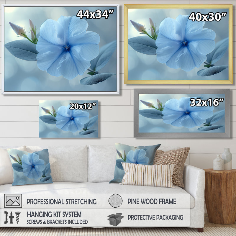 Bleu cristal, gloire du matin, fleurs, photo III - gloire du matin, décoration murale, Toile tendue, H 16 po x l 32 po