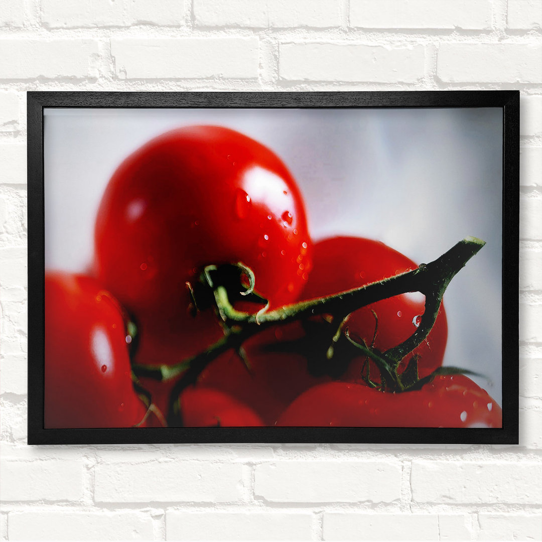 Cherry Tomato Vine - Geschlossene Ecke Rahmen Kunstdrucke auf Holz