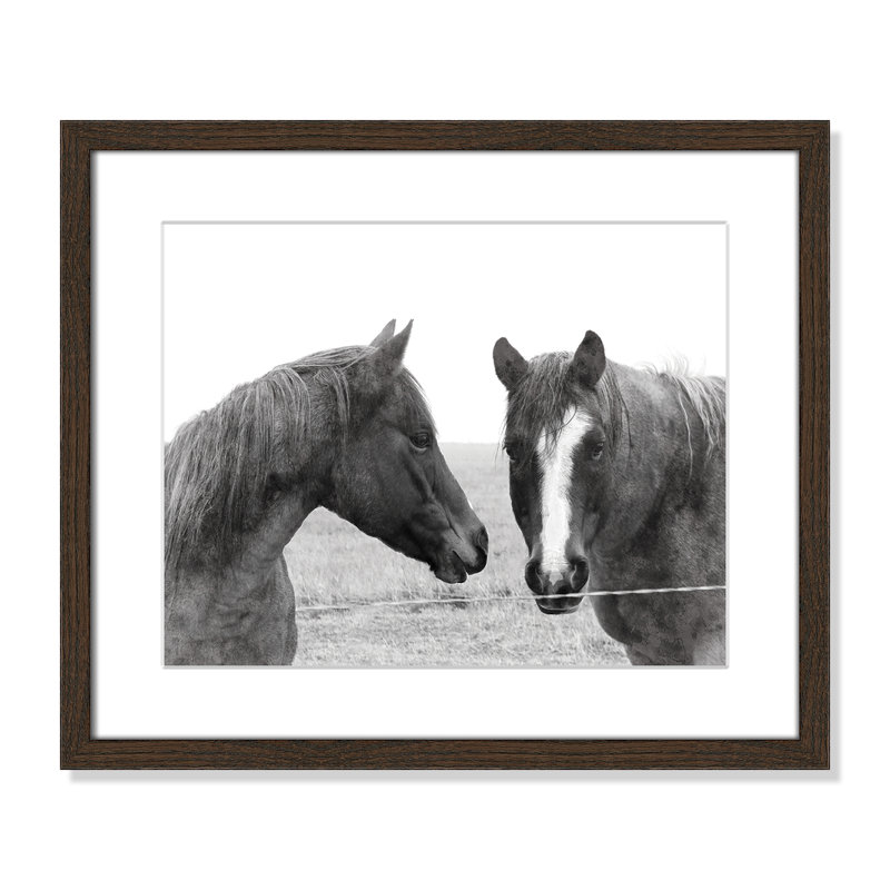 Wild Pastures par Carol Robinsons - reproduction de photo sur papier encadrée, Noyer, H 16 po x l 19 po x P 0,75 po