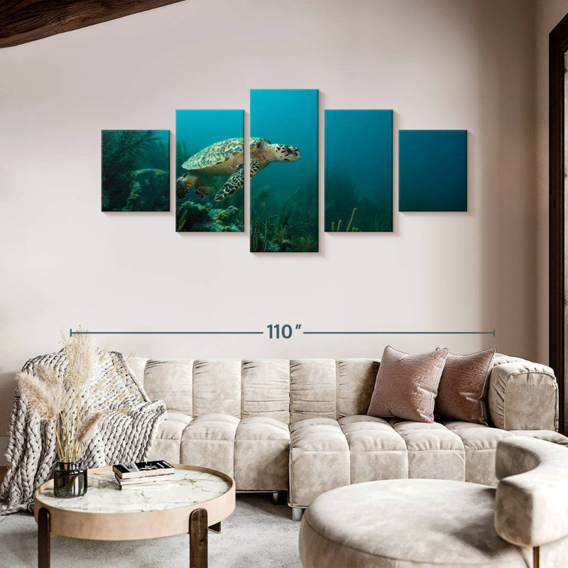Tortue de mer des Caraïbes, H 42 po x l 92 po