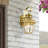 Alexavier Wall Light-594090470
