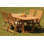 Lessing Outdoor 11 - Piece Teak Dining Set