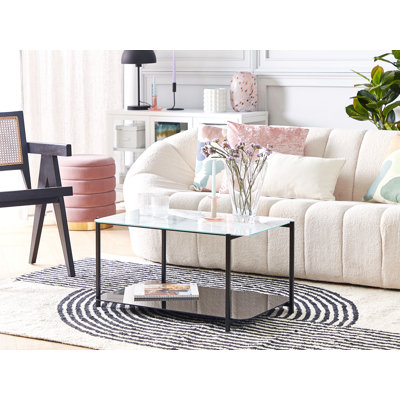 Anspach Frame Coffee Table with Storage