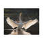 No Frame Print on Canvas-1533591474