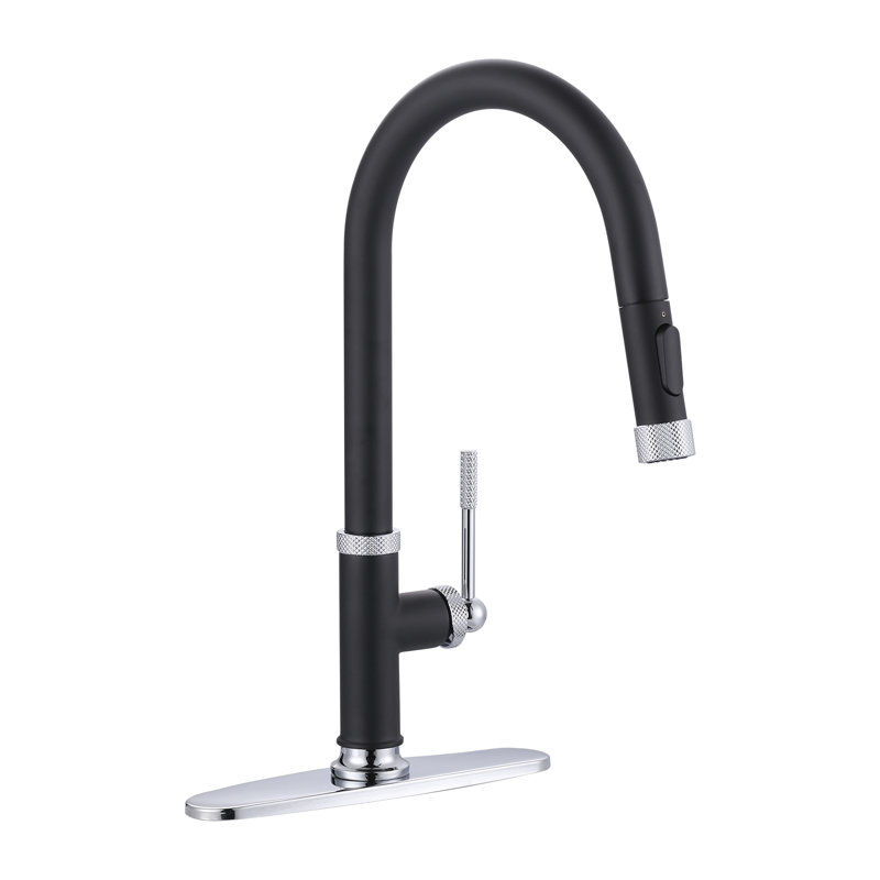 Robinet de cuisine à fixation sur le comptoir avec douchette rétractable à une poignée et deux options de débit d'eau