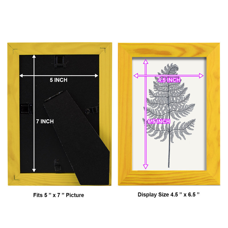 Indigo Botany Study VIII - Reproduction d'un seul cadre photo, H 9 po x l 7 po x P 1 po, Jaune