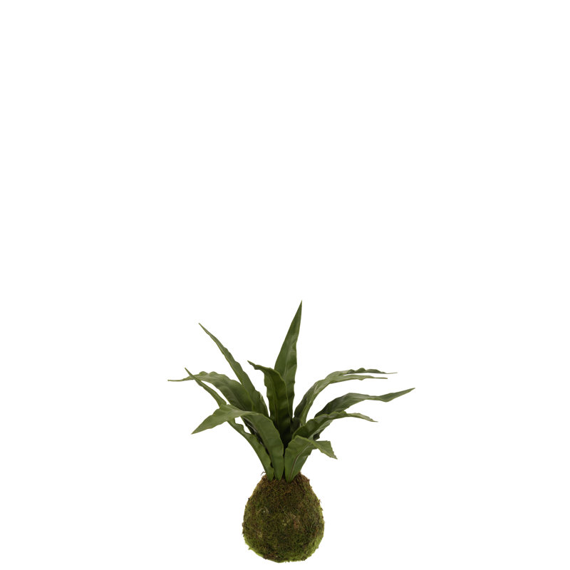 30 cm H Faux Snake Plant