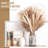 17.44'' Faux Pampas Grass Grass