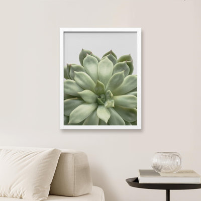 «Succulent Cactus Close Up Southwest Green Lily Pad» sur papier