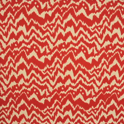 Allure Fabric
