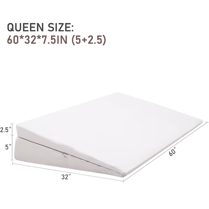 Coussin Jariel, Grand