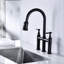Robinet de cuisine noir mat avec fonction rétractable - Deux poignées pour une gestion précise de l'eau. Buse rotative à 360 degrés à zone de nettoyage élargie.-1326376257