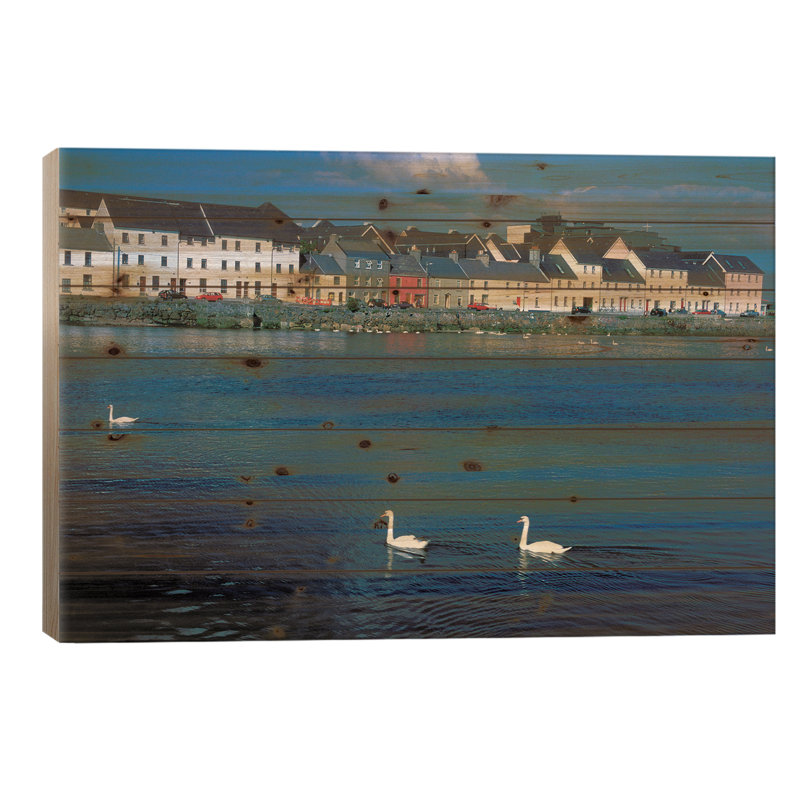 Irlande, Co Galway, baie de Galway, H 26 po x l 40 po x P 1,5 po