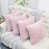 Rose est en rupture de stock