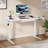 Curtia 140Cm W  Electric Height Adjustable  Desk with Charging Station & LED Light