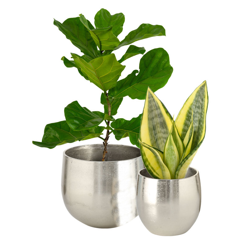 Pot à fleurs en argent