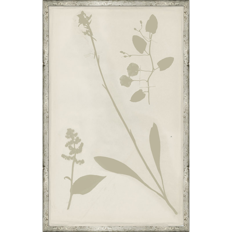 Ghost Herbaria In Celedon Giclee Print