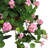 Geranium Hanging Basket Arrangement in Basket