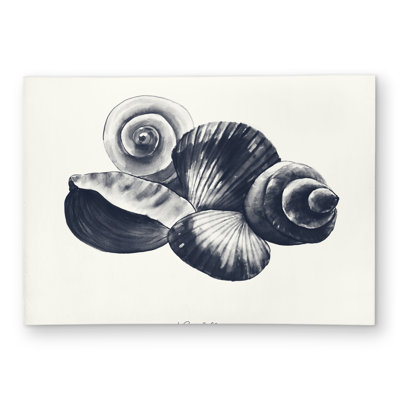 Blue Seaside Shells Rug - Coastal Outdoor Decor for Home
