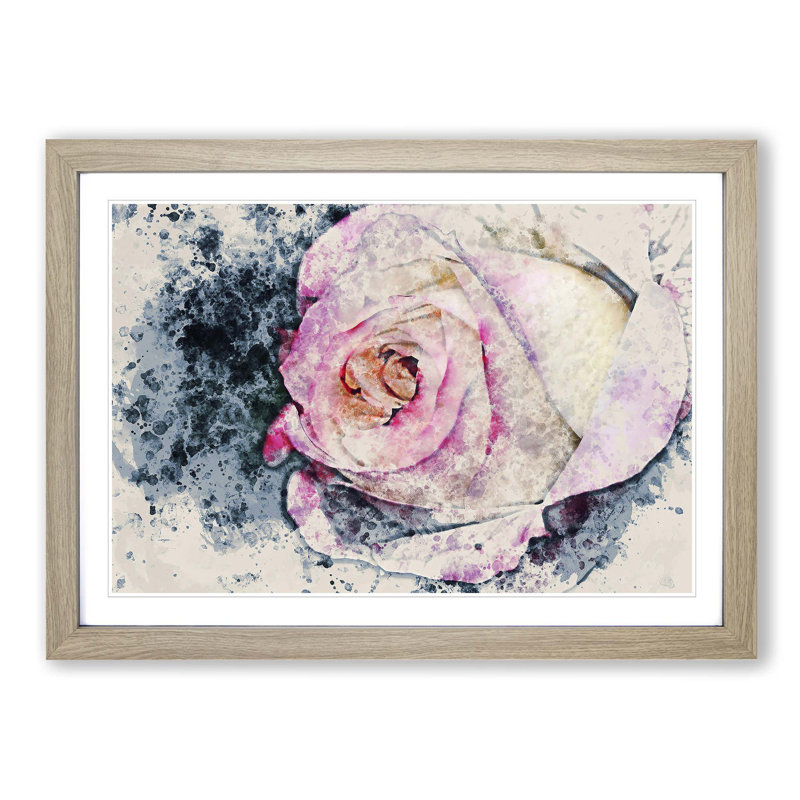 Pink Tipped Rose - Framed Print, Oak, 35cm H x 50cm W x 2cm D