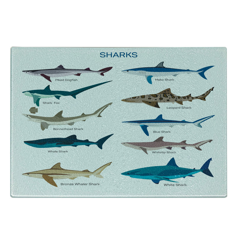 Multicolore en forme de requin en verre trempé Ambesonne