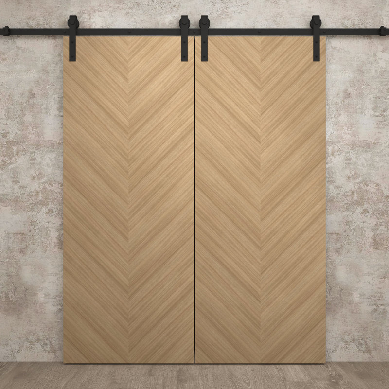 Porte de grange double moderne | Ego 5005 | Ensemble de rails | Portes intérieures solides, Chêne naturel, 60 po x 84 po