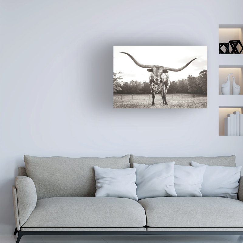 Art mural sur toile «Trademark Fine Art» par Nathan Larson, H 22 po x l 32 po