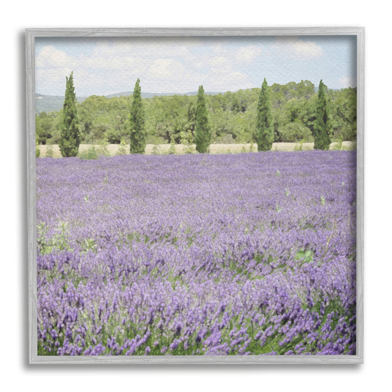«Country Lavender Meadow», impression encadrée sur bois, Estampe numérique Farmhouse, H 17 po x l 17 po x P 1,5 po