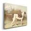 « Pointer »-impression sur toile-180348359