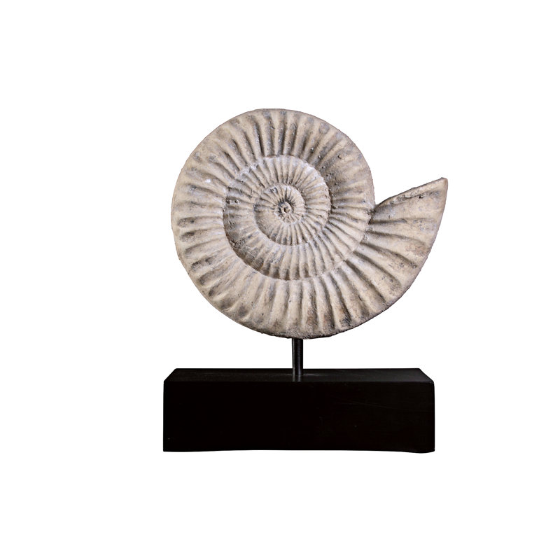 Ammonite Fossil Sculpture on Museum Mount Sculpture