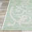 Cassina Floral Ivory Light Green Indoor Outdoor Area Rug-1545128991