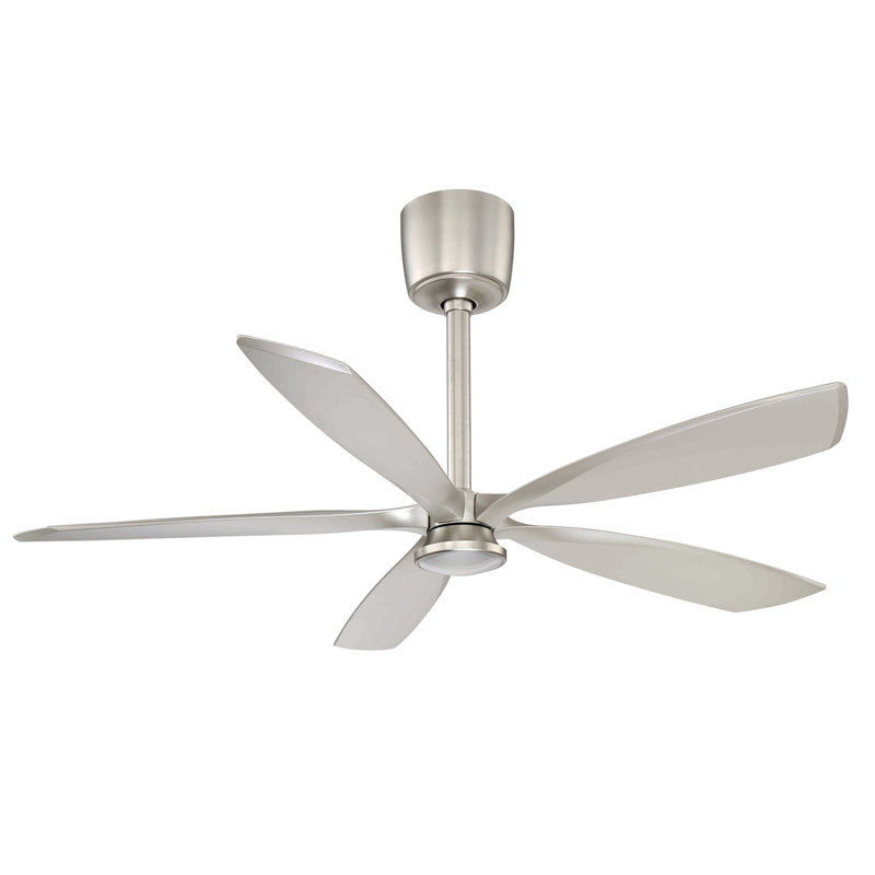 Ventilateur de plafond standard à 5 pales de 54 po avec télécommande et ensemble d'éclairage Damm, Nickel satiné