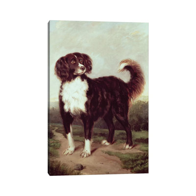 Spaniel by J.W. Morris - Wrapped Canvas Gallery-Wrapped Canvas Giclée
