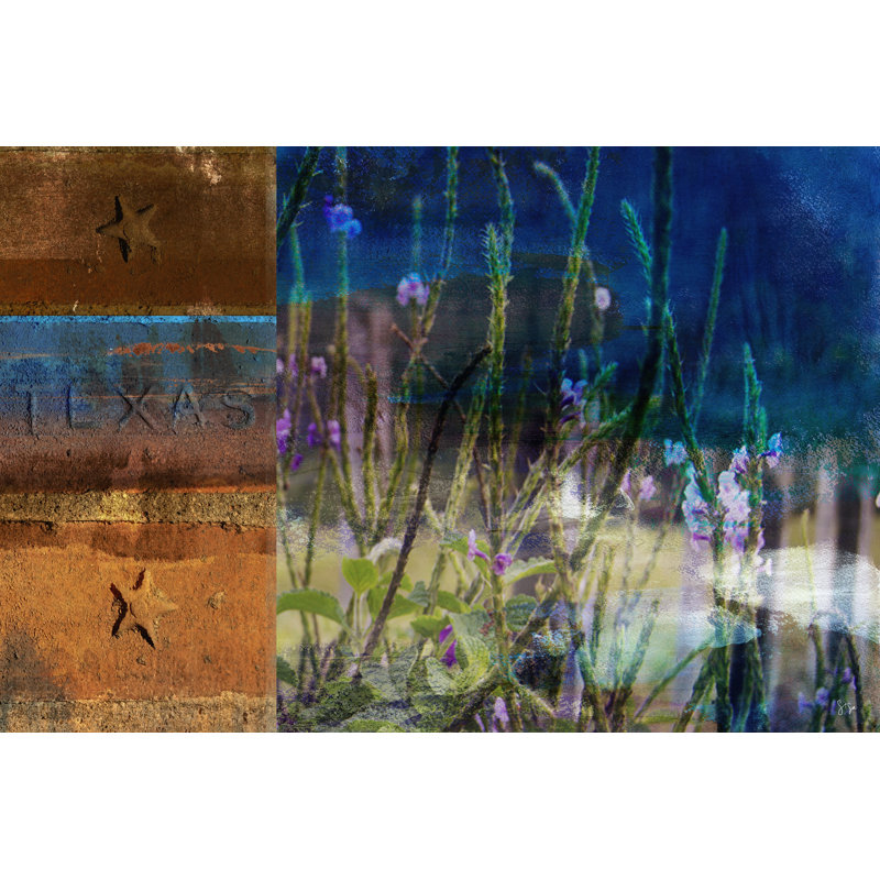 Texas Wildflowers by Sisa Jasper - Wrapped Canvas Art Prints, 30cm H x 46cm W