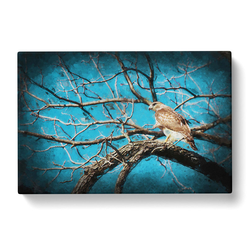 Hawk Bird In The Tree In Abstract - Wrapped Canvas Print, 35cm H x 50cm W x 3cm D