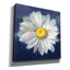 «Boldest Bloom 2 Dark Blue» par Danhui Nai, art mural sur toile-1234387289